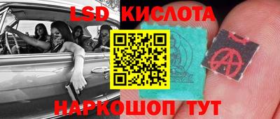 стаф Кандалакша