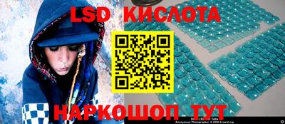 мдпв Камышлов