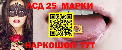 мдпв Камышлов