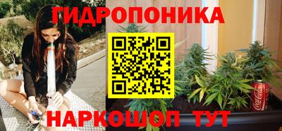 мдпв Камышлов