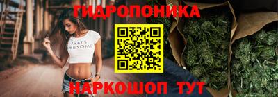 мдпв Камышлов
