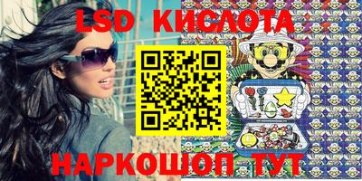 мдпв Камышлов