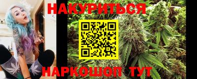 мдпв Камышлов
