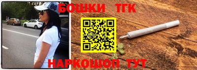 мдпв Камышлов