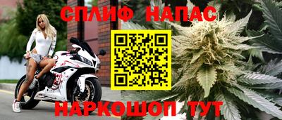 мдпв Камышлов